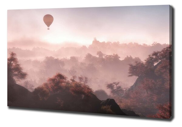 Foto obraz na plátně Balon nad lesem oc-73608942