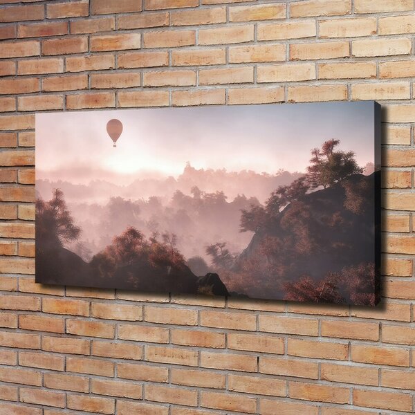 Foto obraz na plátně Balon nad lesem oc-73608942