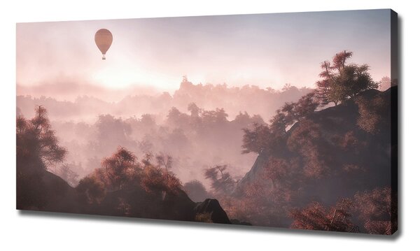 Foto obraz na plátně Balon nad lesem oc-73608942