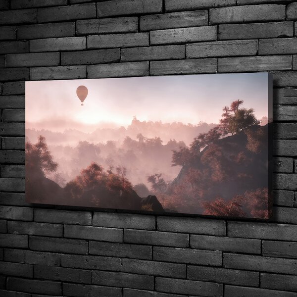 Foto obraz na plátně Balon nad lesem oc-73608942
