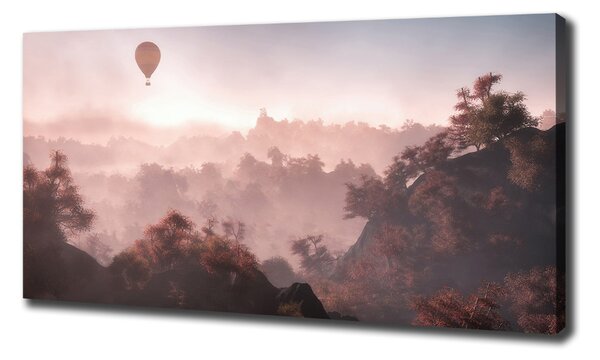 Foto obraz na plátně Balon nad lesem oc-73608942