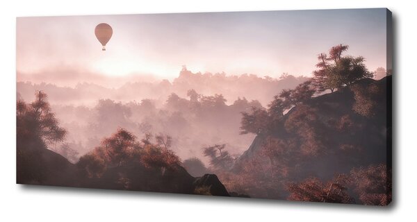 Foto obraz na plátně Balon nad lesem oc-73608942