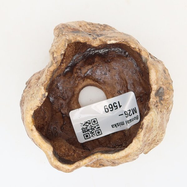 E-bonsai Keramická Skořápka 6 x 5 x 6 cm hnědá