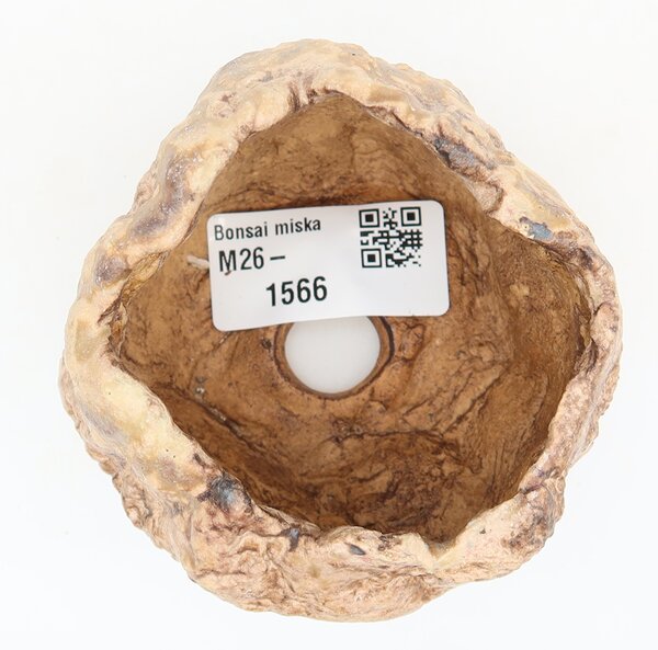 E-bonsai Keramická Skořápka 6 x 5,5 x 6 cm hnědá