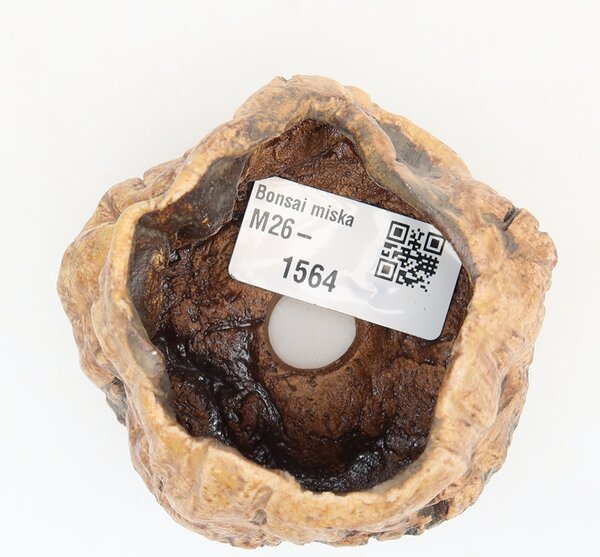E-bonsai Keramická Skořápka 6 x 4,5 x 5,5 cm hnědá