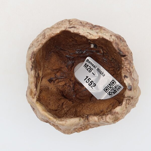 E-bonsai Keramická Skořápka 6 x 6 x 6 cm béžovohnědá