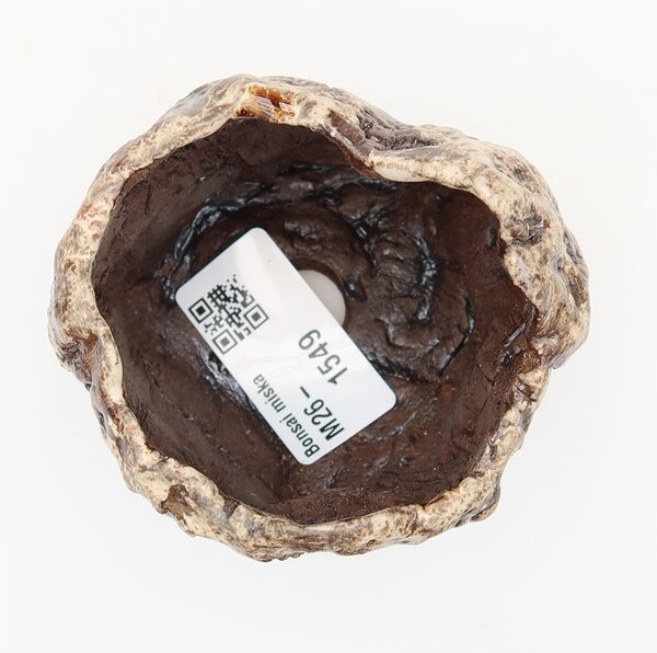 E-bonsai Keramická Skořápka 6,5 x 5,5 x 6 cm hnědobíla