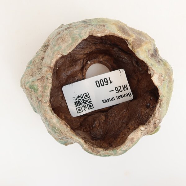 E-bonsai Keramická Skořápka 5,5 x 5,5 x 5,5 cm zelená