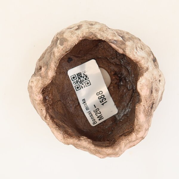 E-bonsai Keramická Skořápka 5,5 x 5 x 5 cm růžová