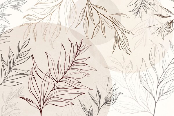 Fototapety Minimalistické kresby tropických listů a listoví, pastelové kruhové tvary, Tapety Unikátní, w10111v1 : uwalls.cz