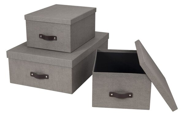 Úložné boxy s víkem v sadě 3 ks Inge – Bigso Box of Sweden
