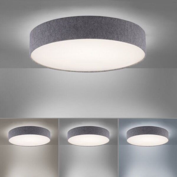 Paul Neuhaus Smart LED stropní svítidlo Q-Kiara ⌀ 58cm, 2700-5000K Barva: Bílá