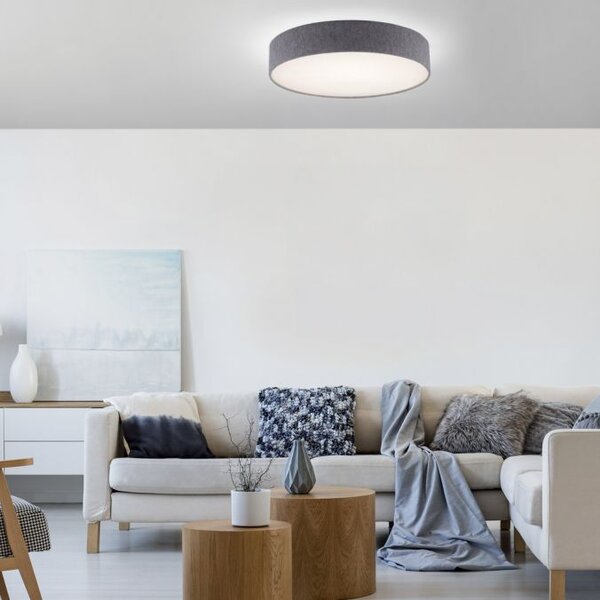 Paul Neuhaus Smart LED stropní svítidlo Q-Kiara ⌀ 58cm, 2700-5000K Barva: Bílá