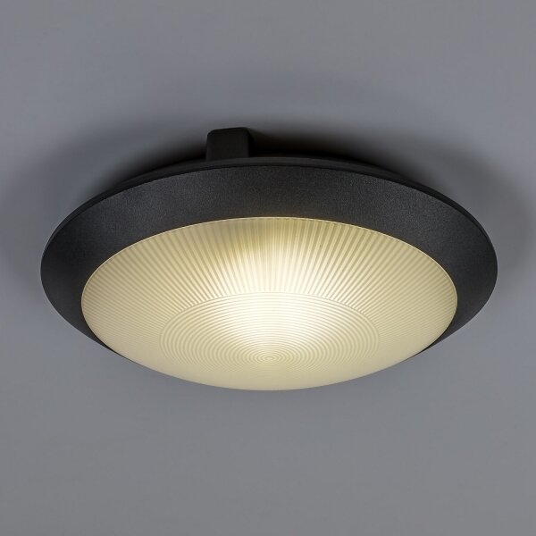 Rabalux 77234 - Ven stropní svítidlo WELRO 1xE27/9W/230V IP65 pr. 30 cm černá