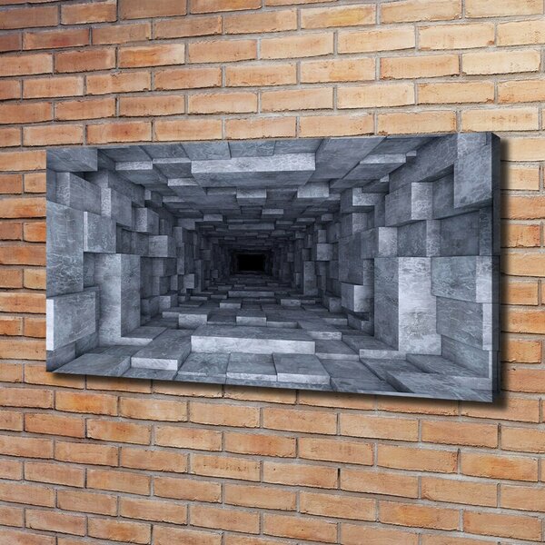 Foto obraz na plátně Tunel oc-74393146