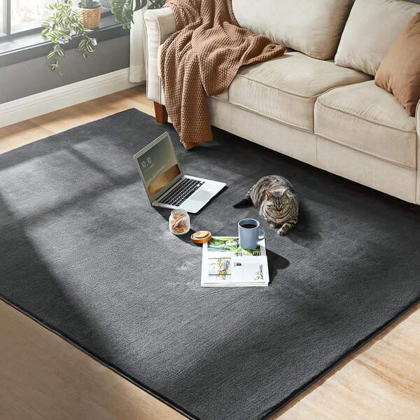 SONGMICS Protiskluzový koberec DARVIN 120 x 170 cm tmavě šedý
