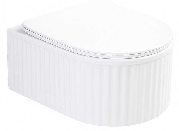 Hydrosan Závěsná WC mísa se SoftClose sedátkem LUMA WH RIM 03, bílá