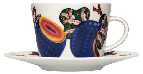 Iittala Šálek s podšálkem Taika Sato 0,2l, bílý