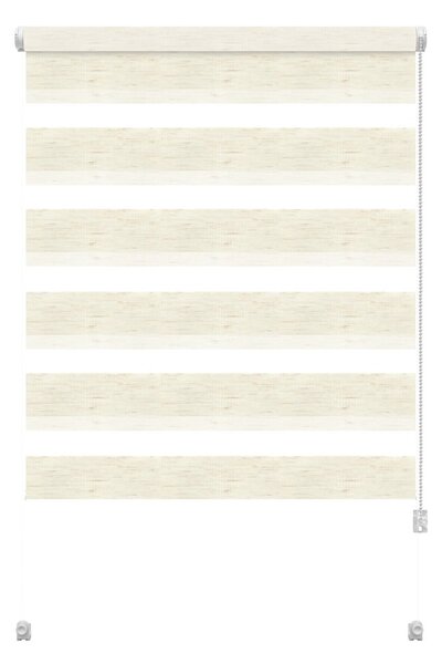 Roleta den a noc v přírodní barvě 97x150 cm Zebra Silvalin – Gardinia