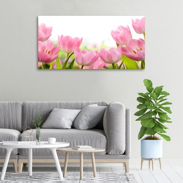 Foto obraz na plátně Růžové tulipány oc-76412458
