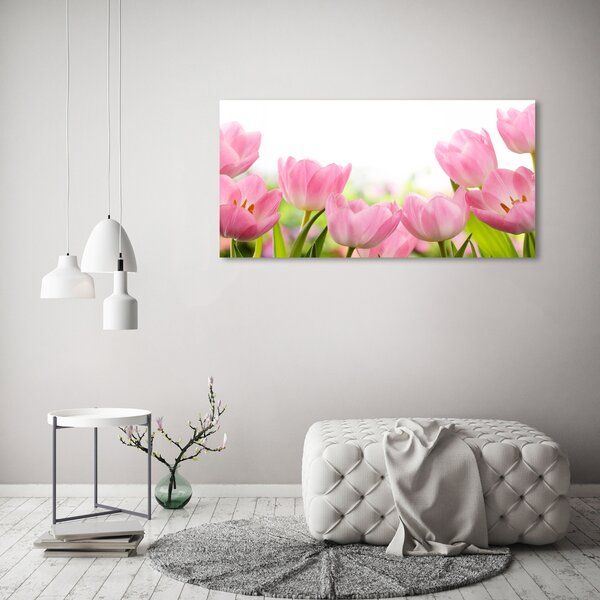 Foto obraz skleněný horizontální Růžové tulipány osh-76412458