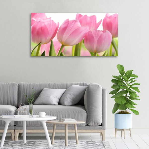 Foto obraz na plátně Růžové tulipány oc-76775867