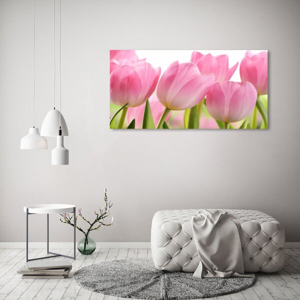 Fotoobraz na skle Růžové tulipány osh-76775867