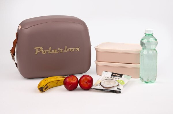 Hnědý chladicí box 6 l Classic Gold – Polarbox