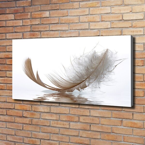 Moderní fotoobraz canvas na rámu Pírka ve vodě oc-77181591