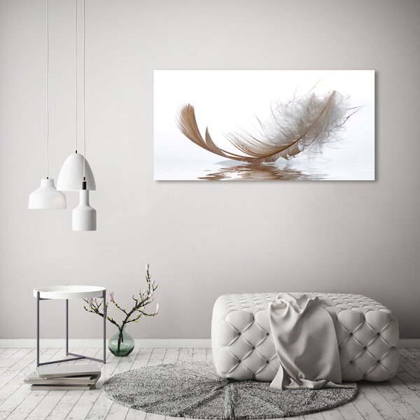 Moderní fotoobraz canvas na rámu Pírka ve vodě oc-77181591