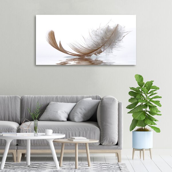 Moderní fotoobraz canvas na rámu Pírka ve vodě oc-77181591