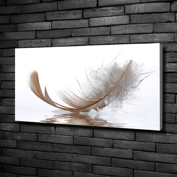 Moderní fotoobraz canvas na rámu Pírka ve vodě oc-77181591