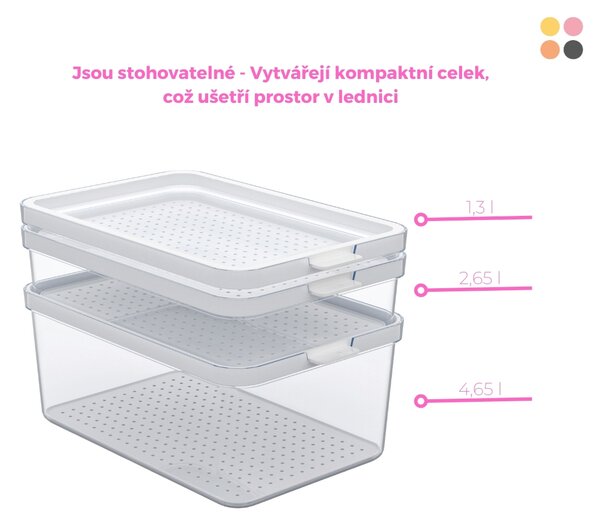 Rotho Organizér do lednice, s víkem a speciální podložkou 1,3l CAUMA