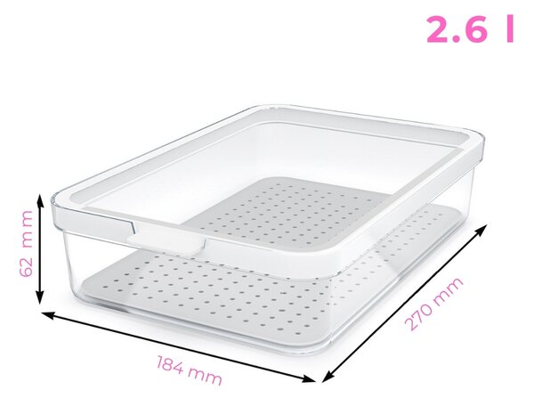 Rotho Organizér do lednice, s víkem a speciální podložkou 2,6l CAUMA