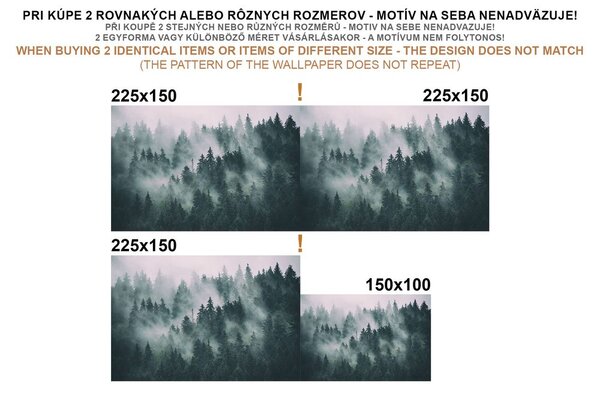 Tapeta mapa světa s jednotlivými státy v oranžové barvě