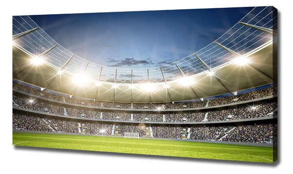 Foto obraz canvas Stadion oc-77626573