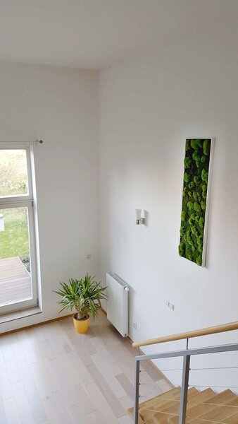 Mechový obraz 22x22 cm kombinovaný mech kopečkový s plochým, bílá