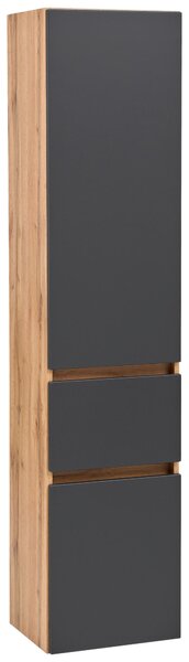 VYSOKÁ SKŘÍŇ, 40/180/35 cm Held - Koupelnové skříňky vysoké, Online Only