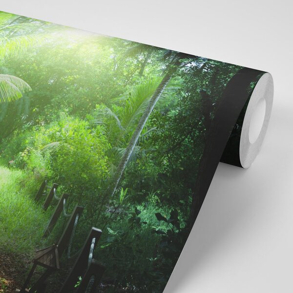 Fototapeta cestička na ostrově Seychely