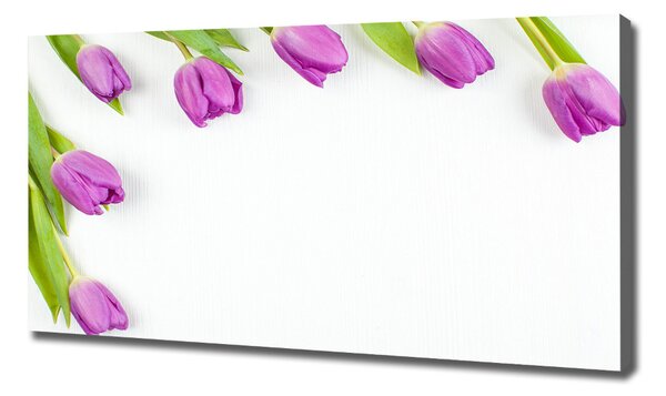 Moderní fotoobraz canvas na rámu Fialové tulipány oc-78573099