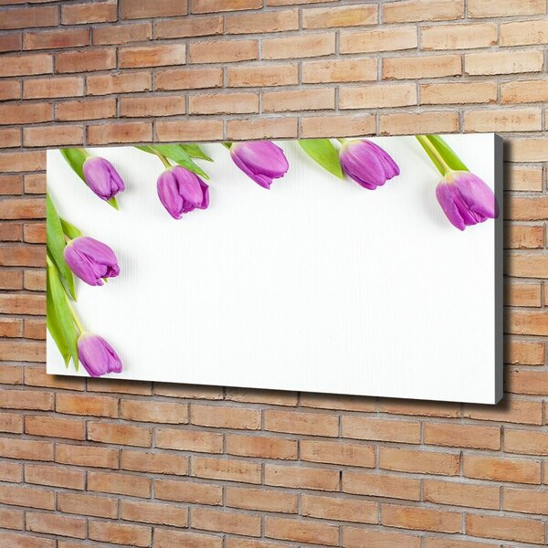 Moderní fotoobraz canvas na rámu Fialové tulipány oc-78573099