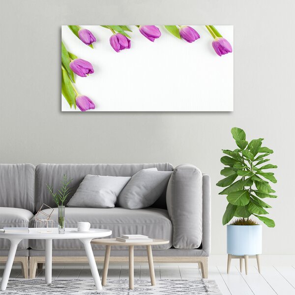 Moderní fotoobraz canvas na rámu Fialové tulipány oc-78573099