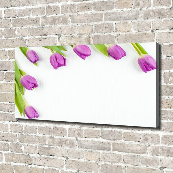 Moderní fotoobraz canvas na rámu Fialové tulipány oc-78573099
