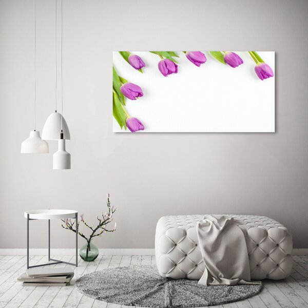 Moderní fotoobraz canvas na rámu Fialové tulipány oc-78573099