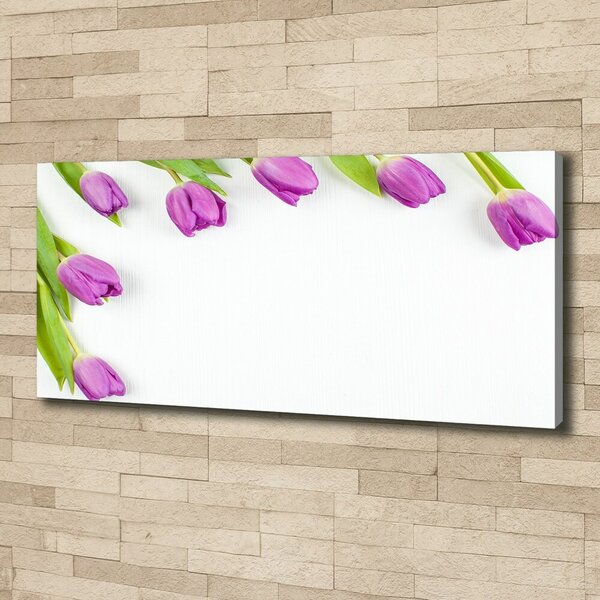 Moderní fotoobraz canvas na rámu Fialové tulipány oc-78573099
