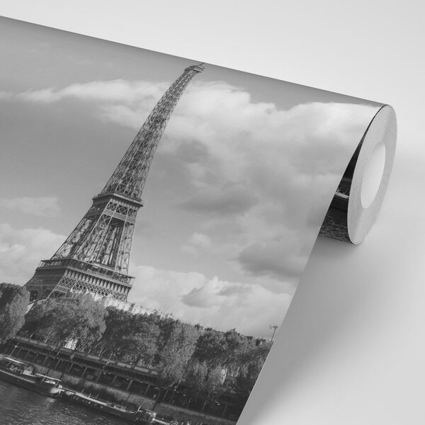 Fototapeta překrásná černobílá panorama Paříže