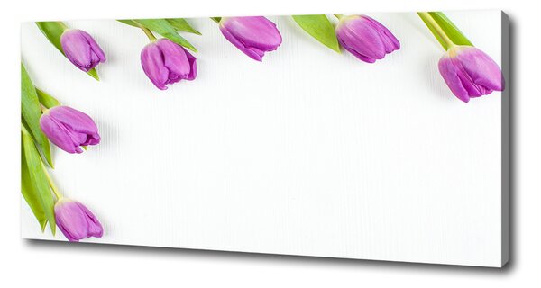Moderní fotoobraz canvas na rámu Fialové tulipány oc-78573099