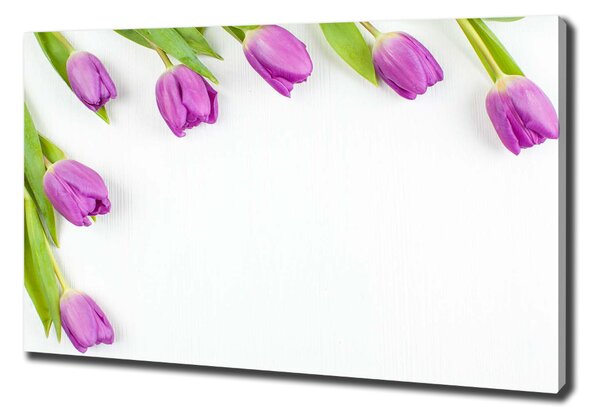 Moderní fotoobraz canvas na rámu Fialové tulipány oc-78573099