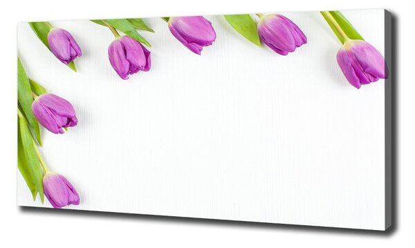 Moderní fotoobraz canvas na rámu Fialové tulipány oc-78573099