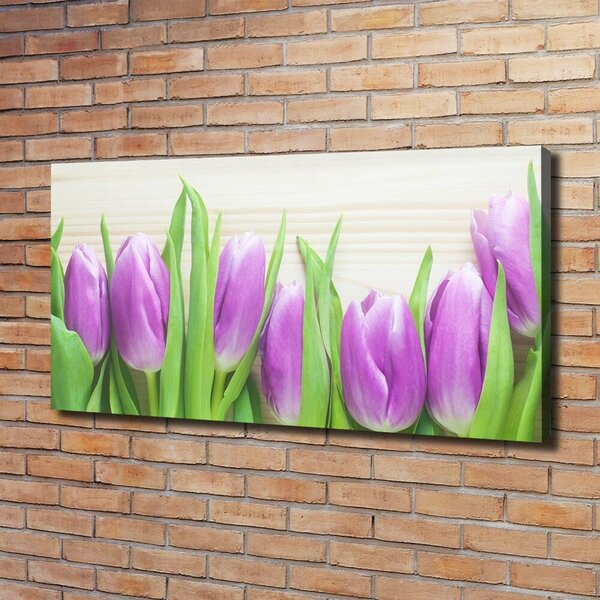Foto obraz na plátně Fialové tulipány oc-78755149